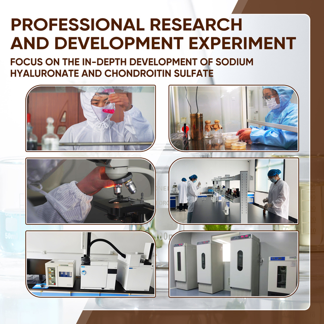  Food Grade Sodium Hyaluronate Powder | Runxin Certified Quality Supple